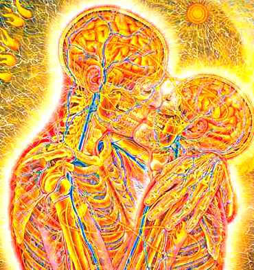 View larger image View larger image