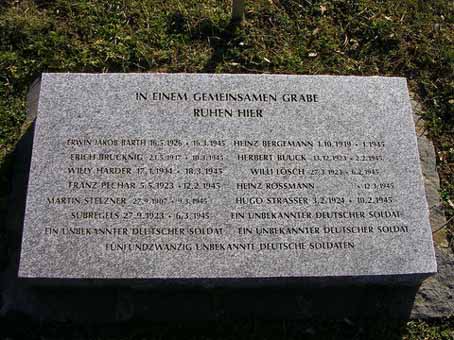 View larger image View larger image