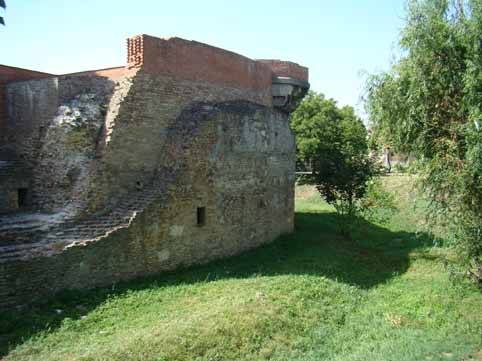 View larger image View larger image