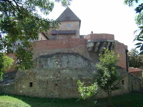 View larger image View larger image