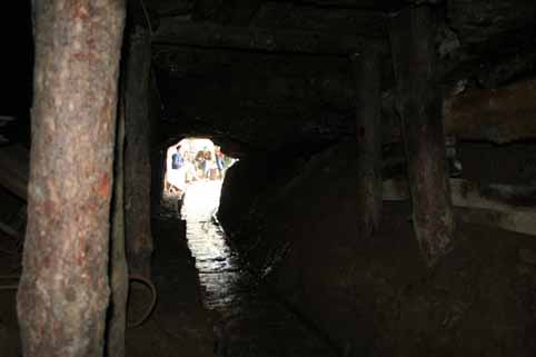 View larger image View larger image