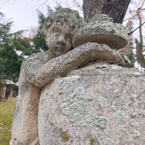 View larger image View larger image