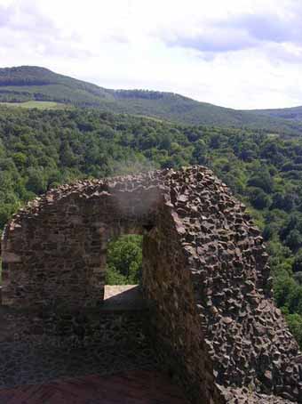 View larger image View larger image