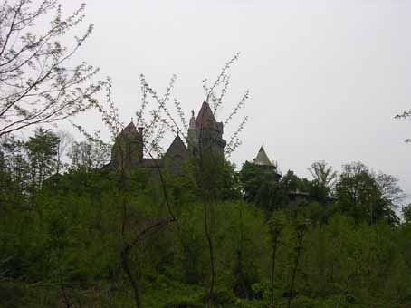 View larger image View larger image