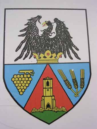 View larger image View larger image