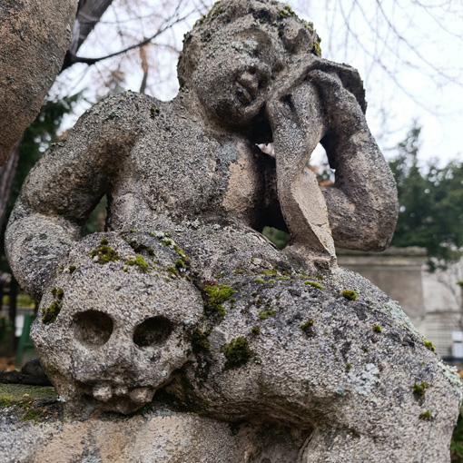 View larger image View larger image