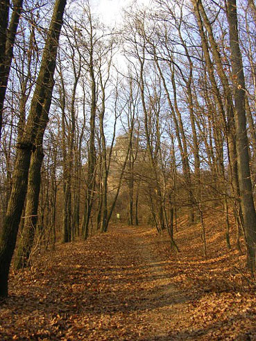 View larger image View larger image