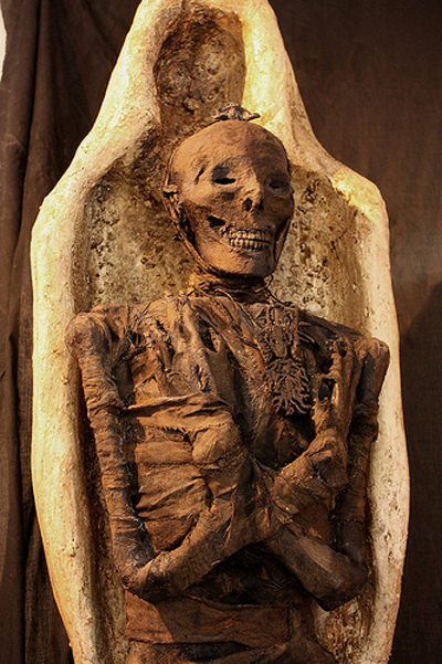 View larger image View larger image