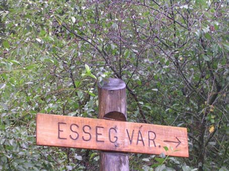 View larger image View larger image