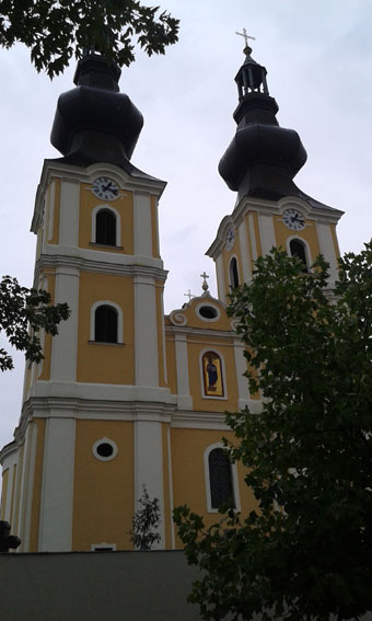 View larger image View larger image