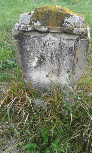 View larger image View larger image