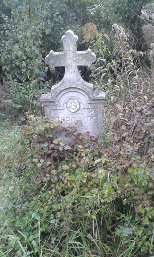 View larger image View larger image