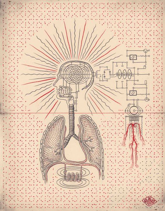 View larger image View larger image