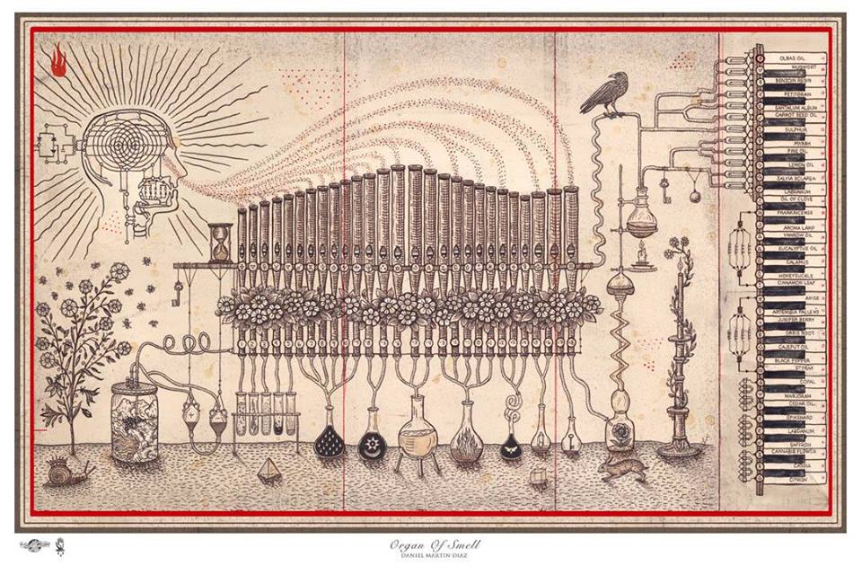 View larger image View larger image