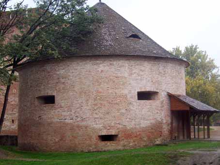 View larger image View larger image