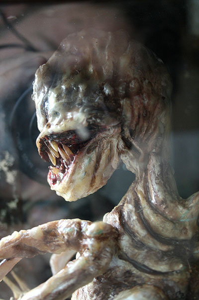 View larger image View larger image