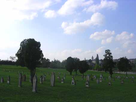 View larger image View larger image