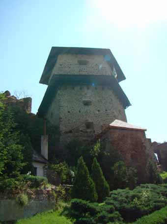 View larger image View larger image