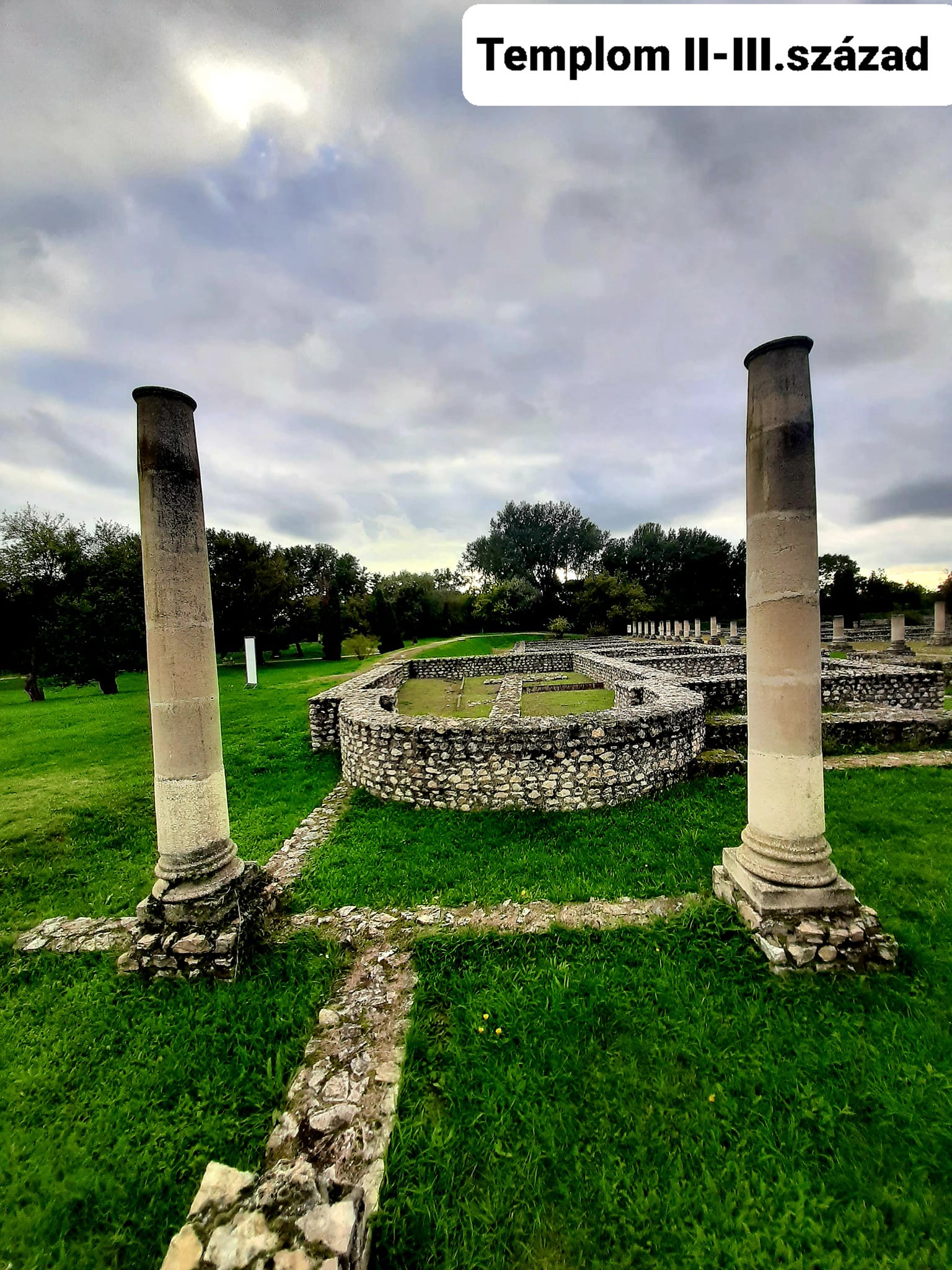 View larger image View larger image