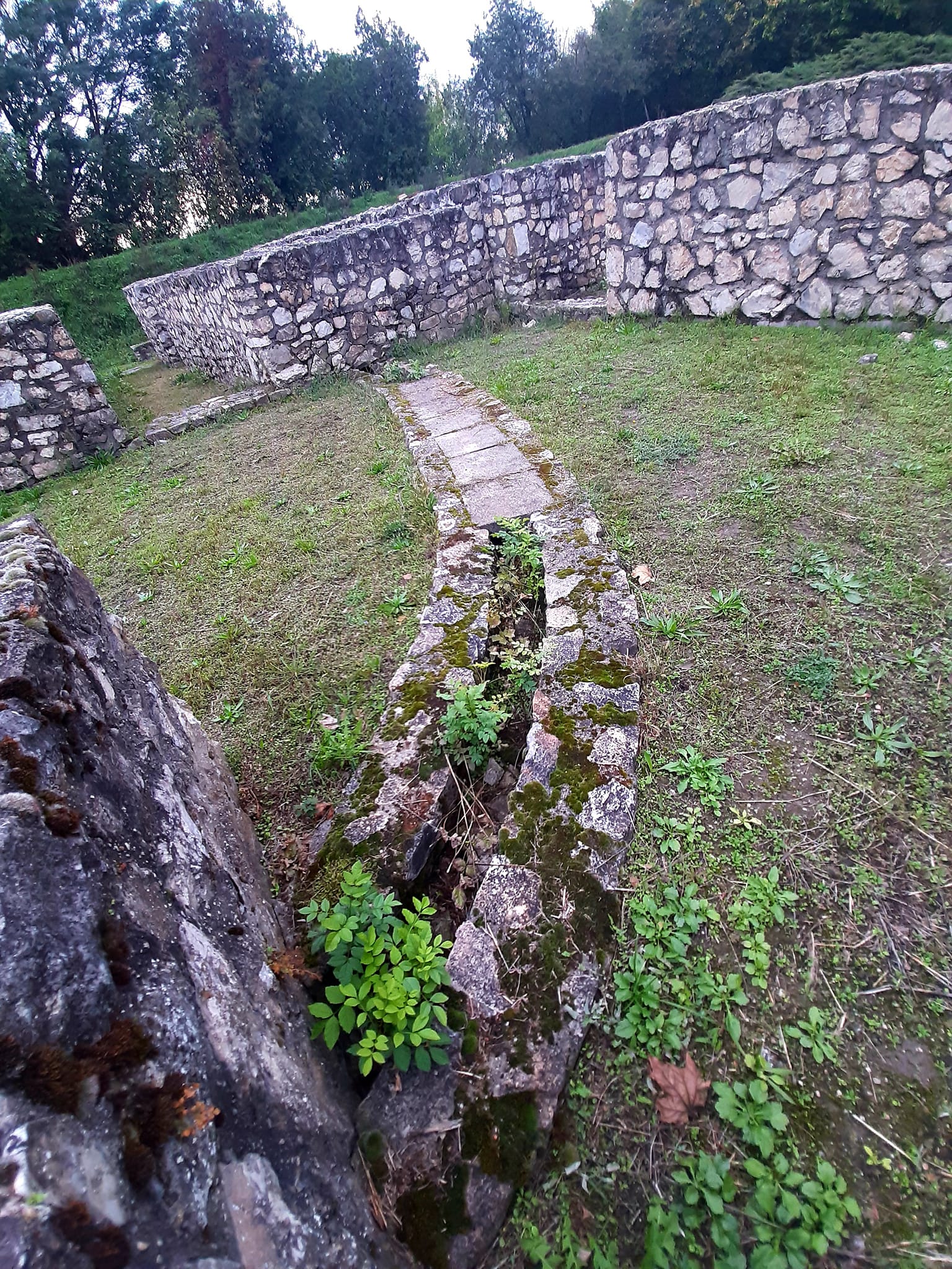 View larger image View larger image