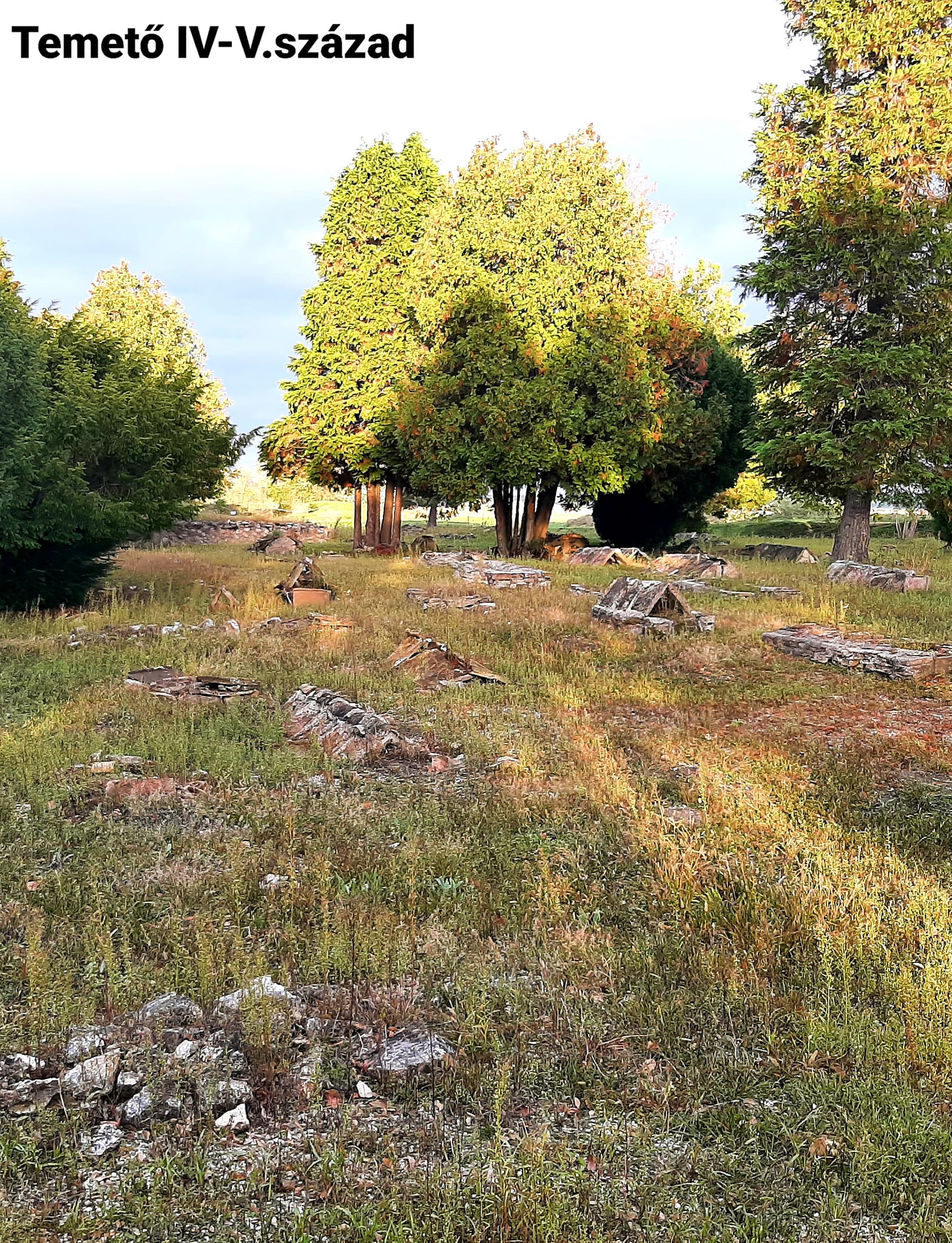 View larger image View larger image