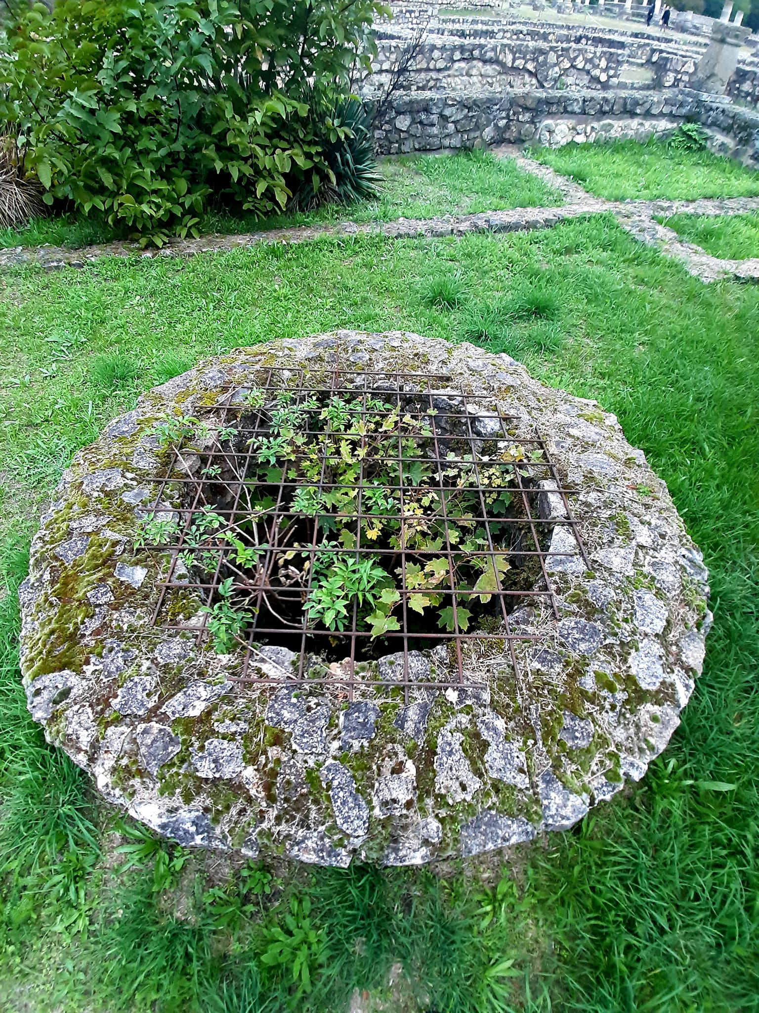 View larger image View larger image