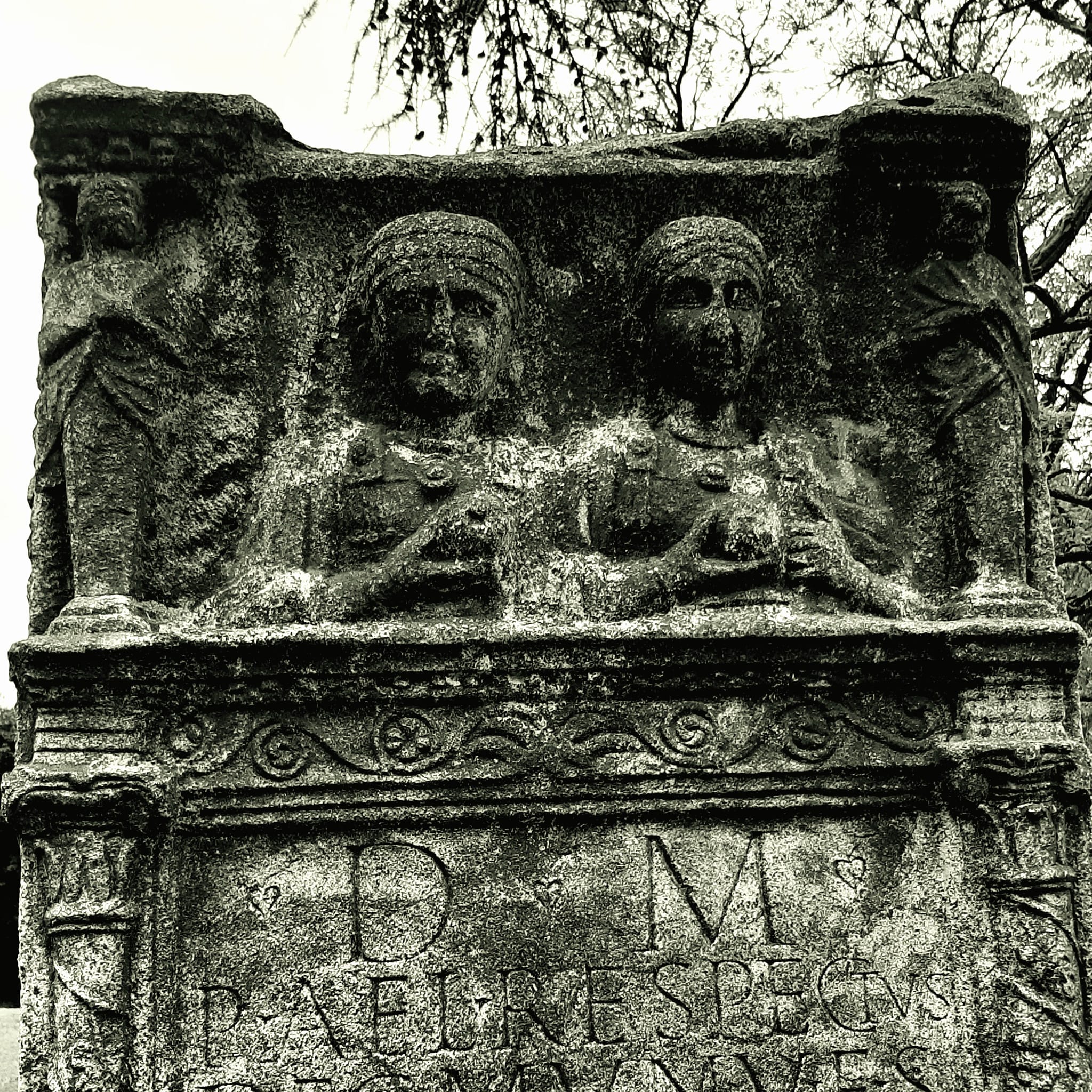 View larger image View larger image