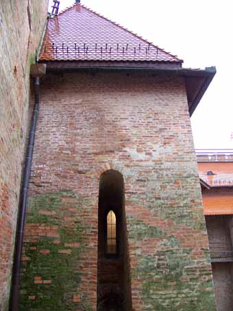 View larger image View larger image