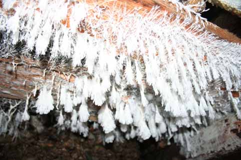 View larger image View larger image