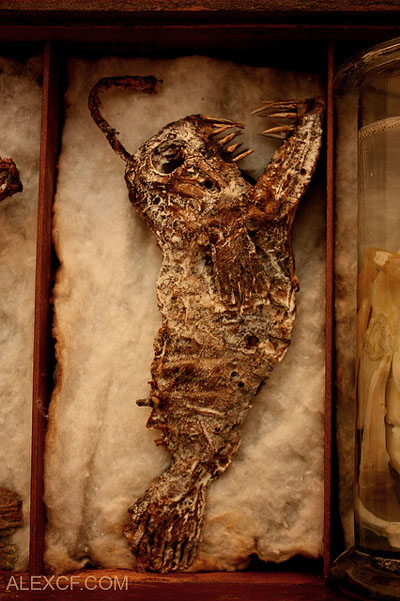 View larger image View larger image