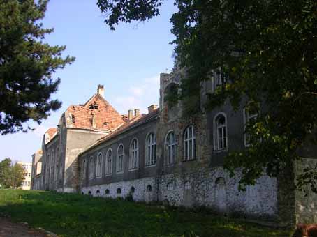 View larger image View larger image