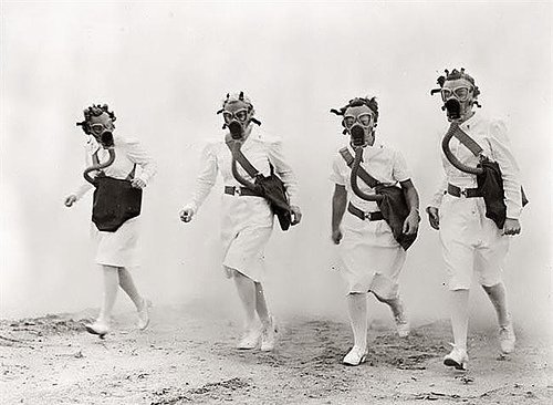 View larger image View larger image