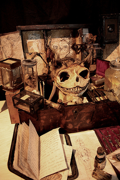 View larger image View larger image