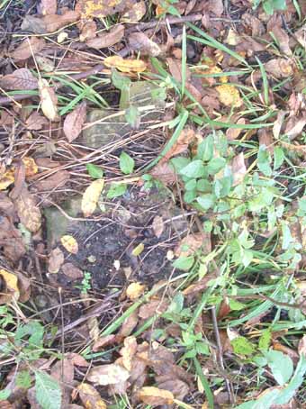 View larger image View larger image