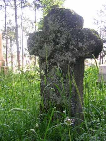 View larger image View larger image