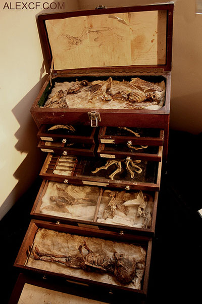 View larger image View larger image