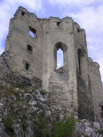 View larger image View larger image