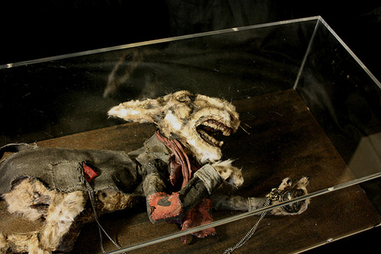 View larger image View larger image