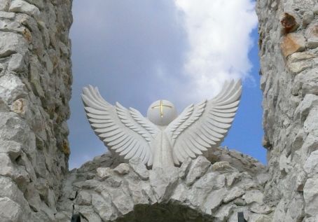 View larger image View larger image