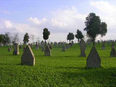 View larger image View larger image