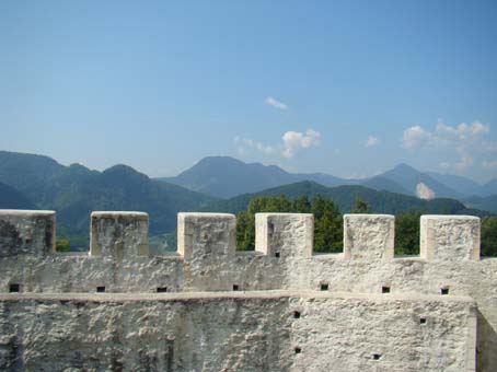 View larger image View larger image