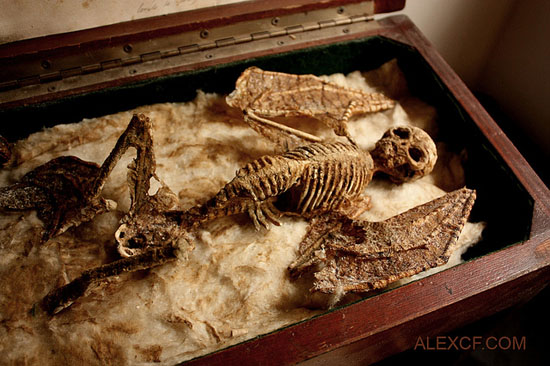 View larger image View larger image