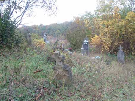 View larger image View larger image