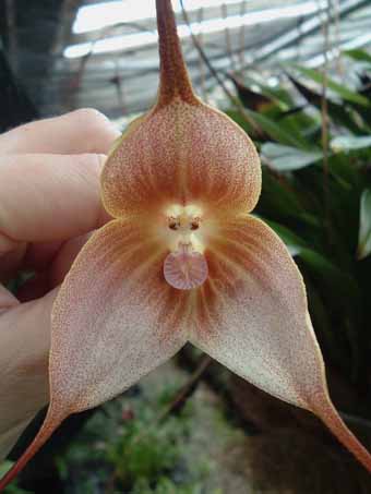 View larger image View larger image