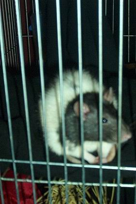 View larger image View larger image