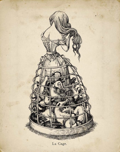 View larger image View larger image