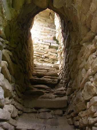 View larger image View larger image