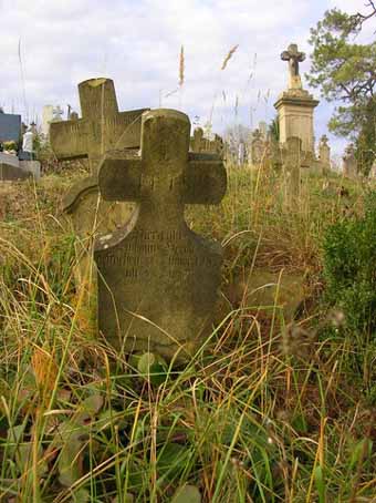 View larger image View larger image