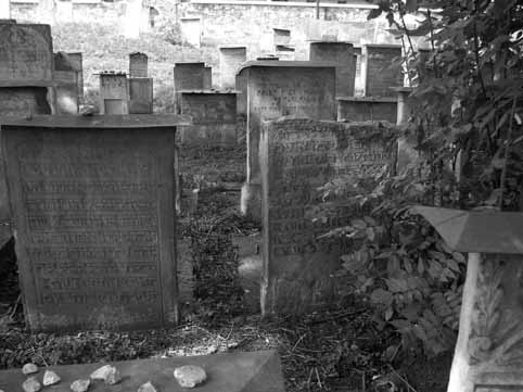 View larger image View larger image