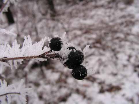 View larger image View larger image